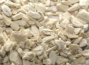 Bone Semi-Products Bone Semi-Products