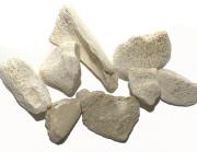 Bone Semi-Products Bone Semi-Products