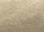 Bone Semi-Products Bone Semi-Products